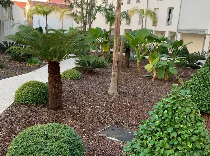 Les Pieds Dans L'eau Du Trottel Appartement Ajaccio (Corsica)